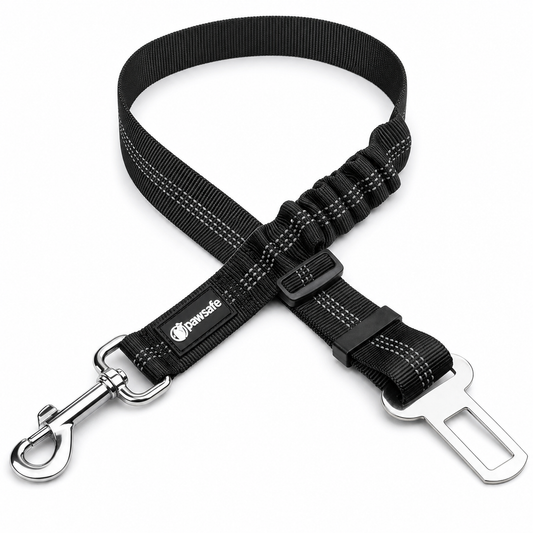 PawSafe Dog Seat Belt