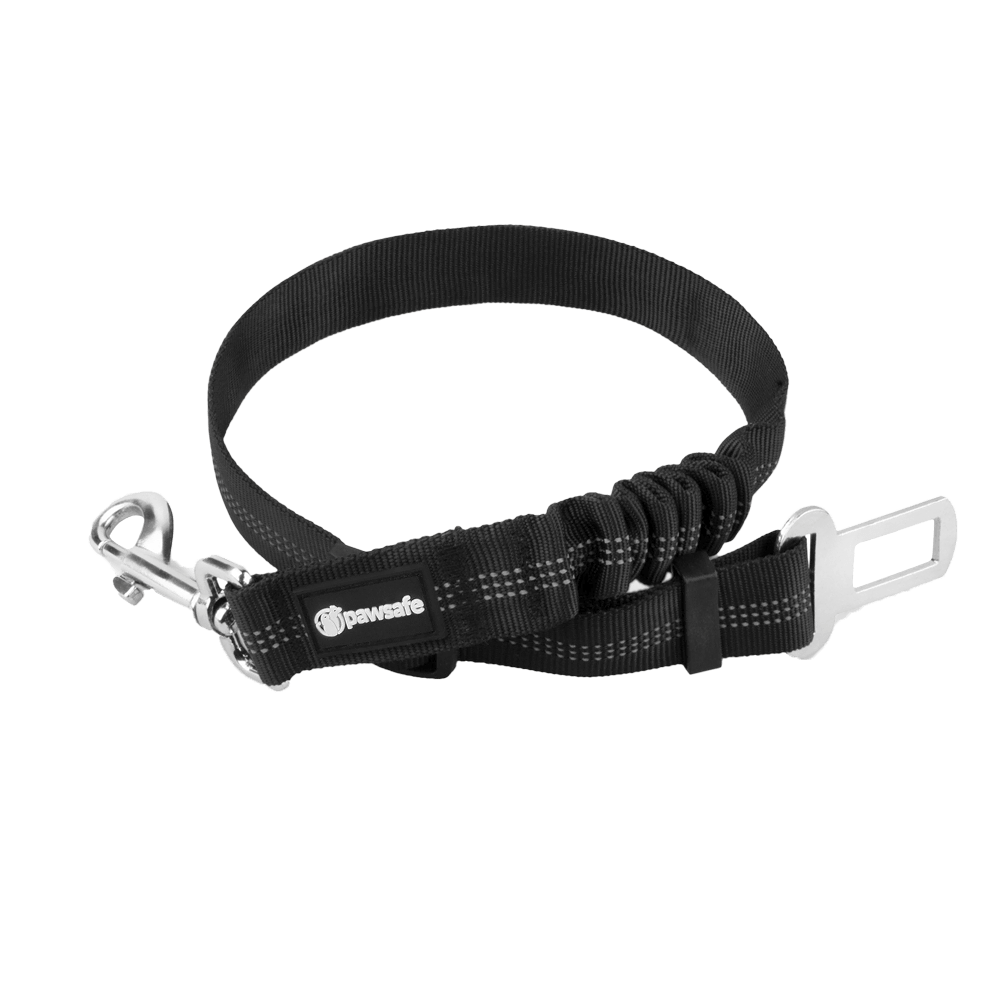 PawSafe Dog Seat Belt